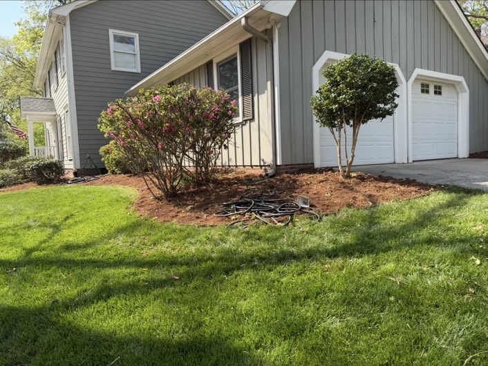 Shrubs beside garage after trimming and cleanup