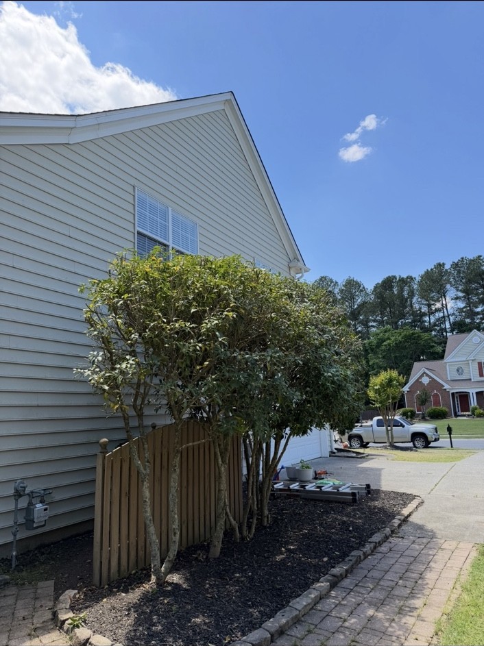 Shrubs after trimming and cleanup
